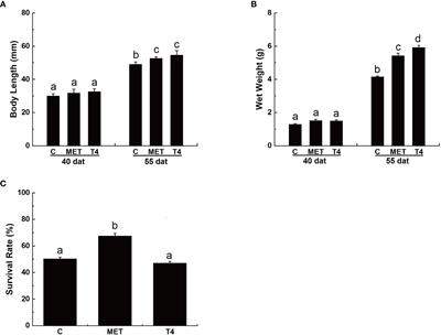 Effects of the Thyroid Endocrine System on Gonadal Sex Ratios and Sex-Related Gene Expression in the Pufferfish Takifugu rubripes